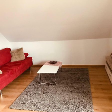 Grosses 1-Zimmer Wohlfuehl-Appartement Rednitzhembach Exterior photo
